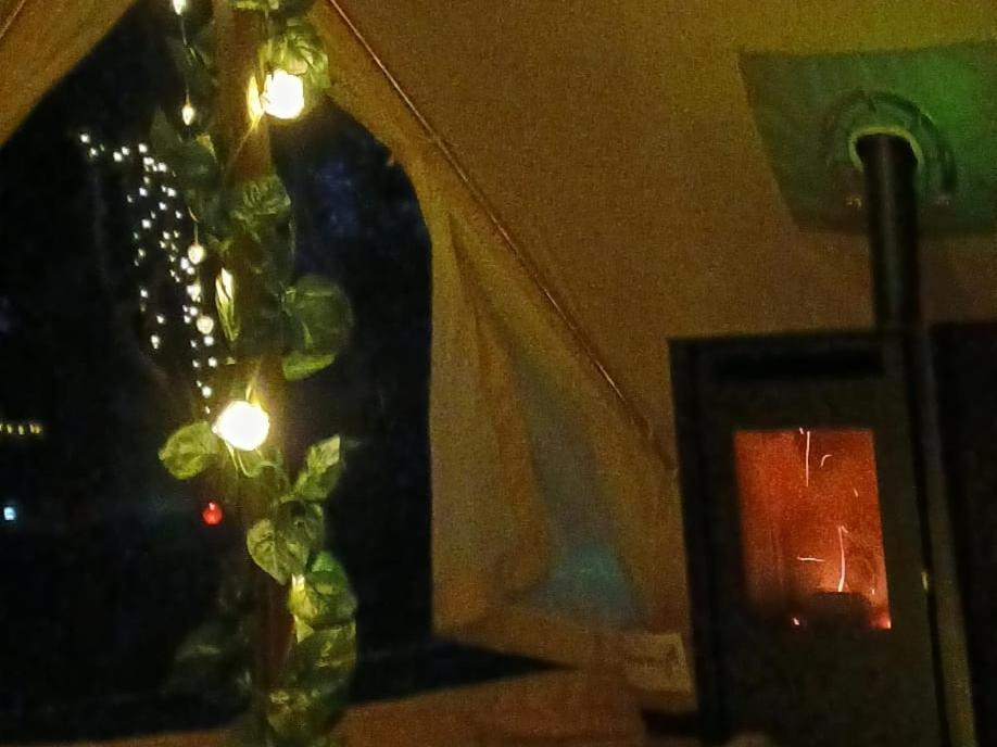 Fairy Cove At Rosemount Glamping Hotel Carlingford Exterior foto