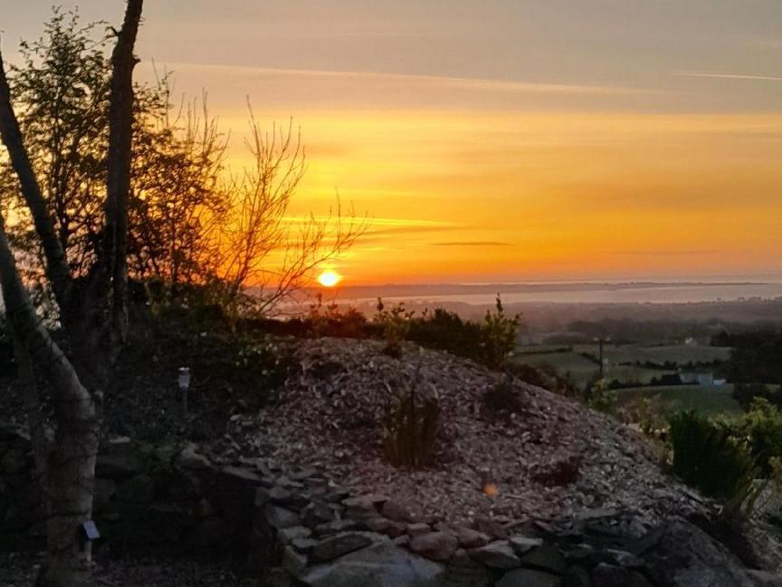Fairy Cove At Rosemount Glamping Hotel Carlingford Exterior foto