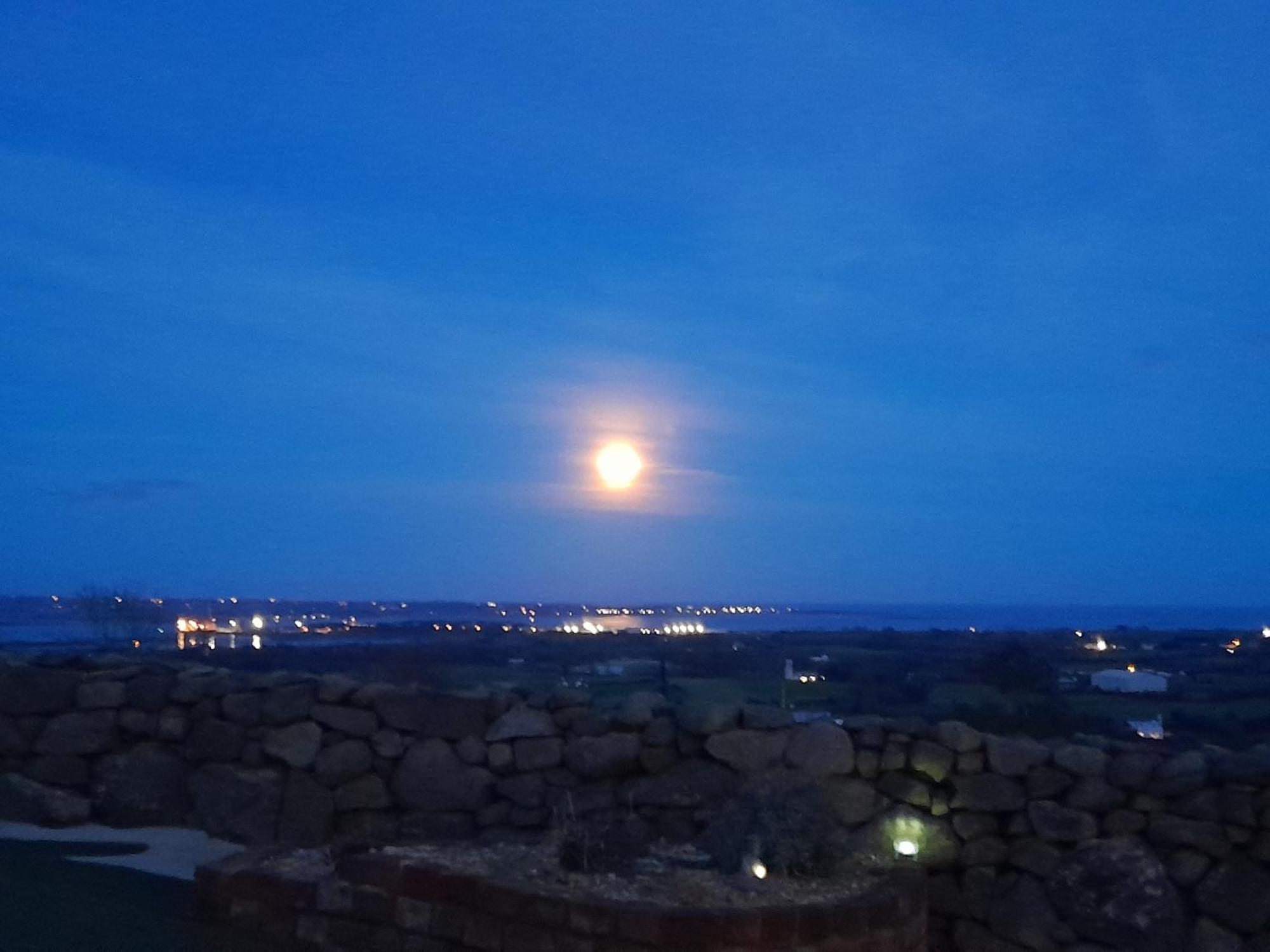 Fairy Cove At Rosemount Glamping Hotel Carlingford Exterior foto
