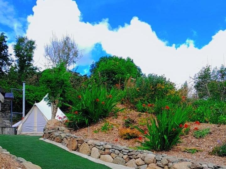Fairy Cove At Rosemount Glamping Hotel Carlingford Exterior foto